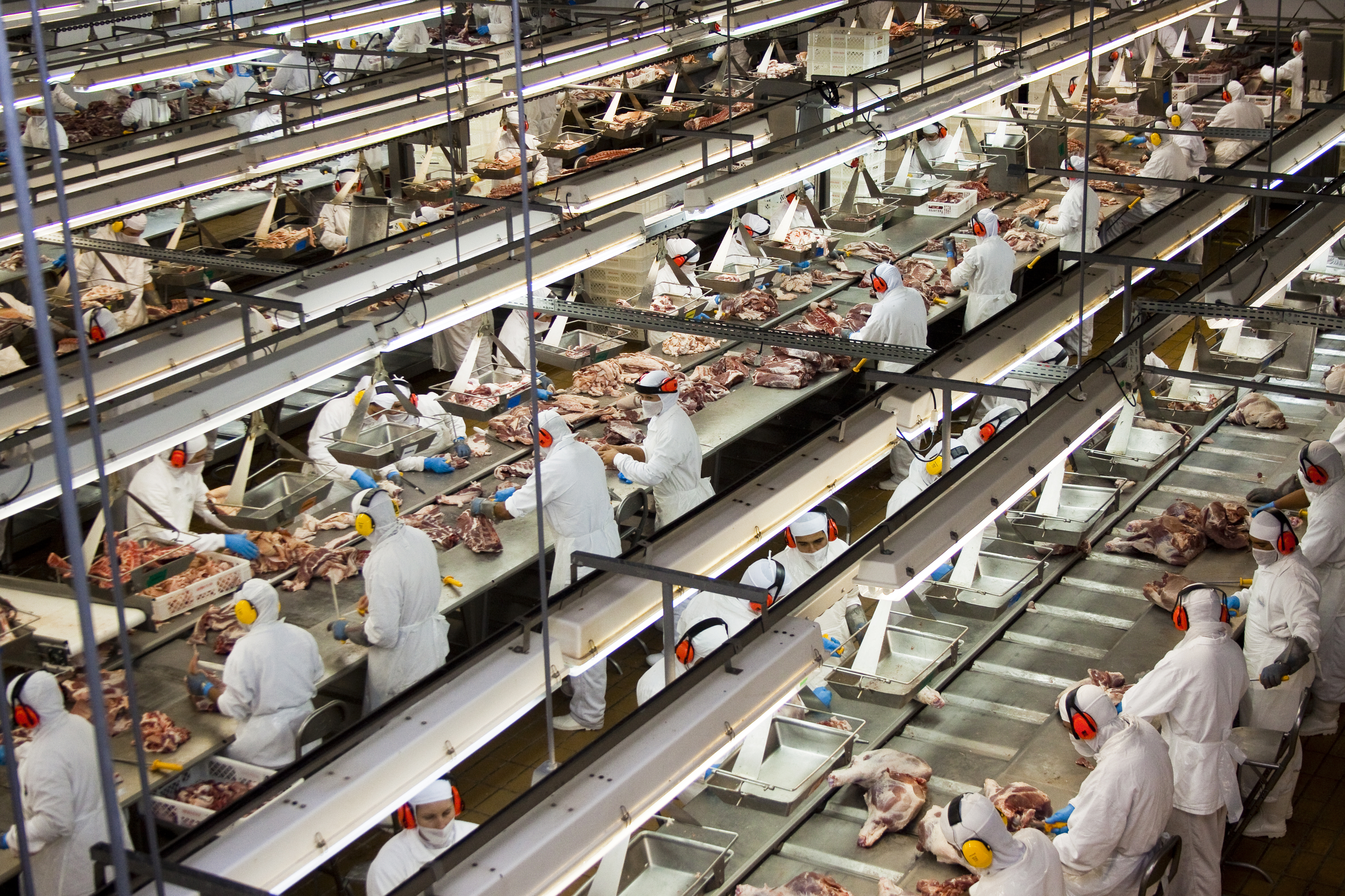 Imagem 1169 no node 2989