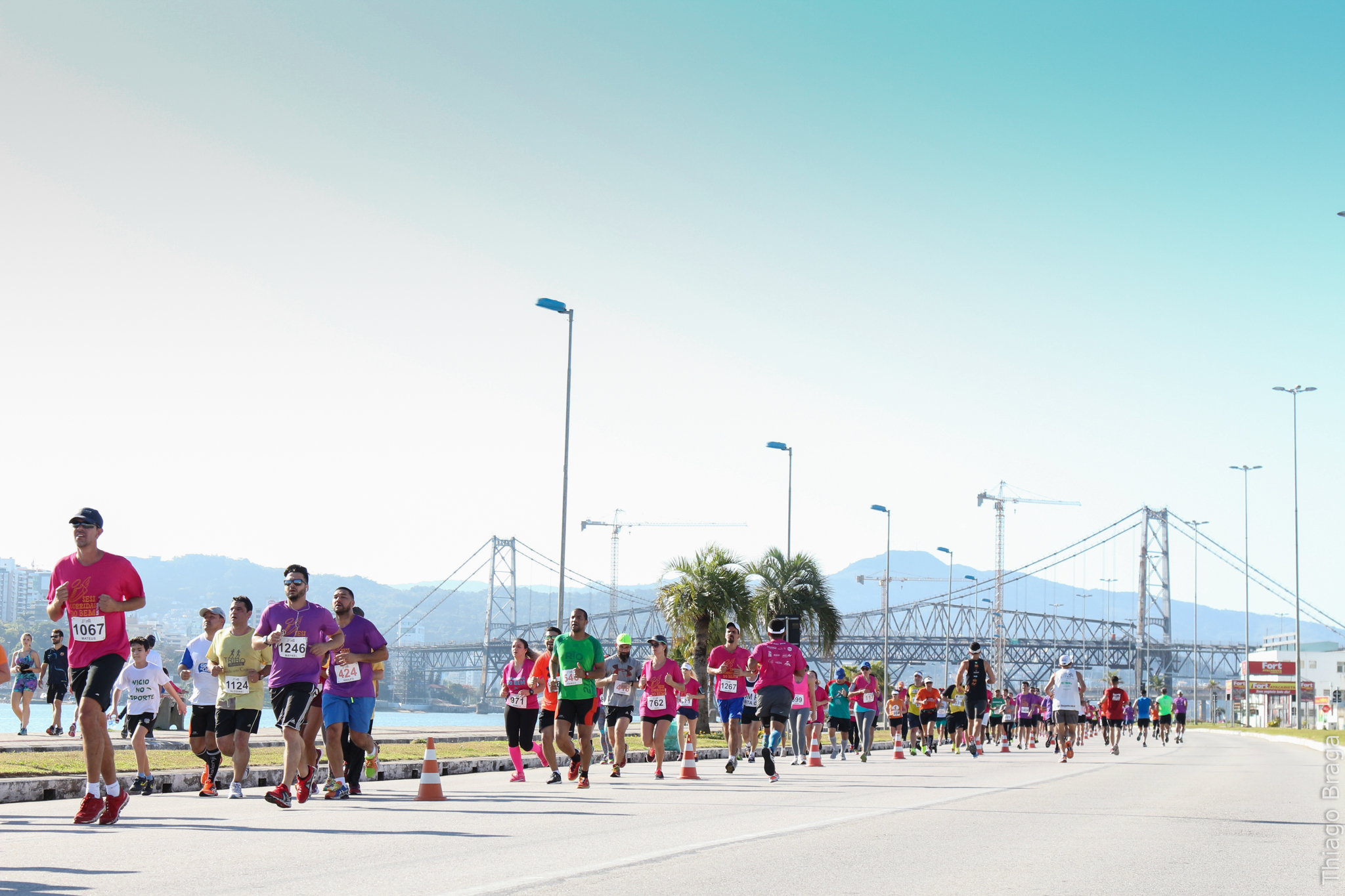 Imagem 3046 no node 5142