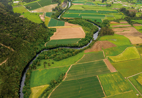Área de preservação à beira de rios