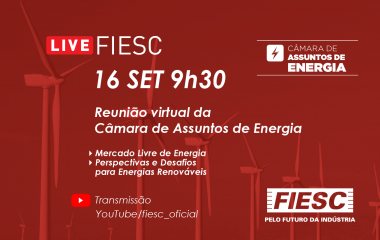 Reunião Virtual da Câmara de Assuntos de Energia