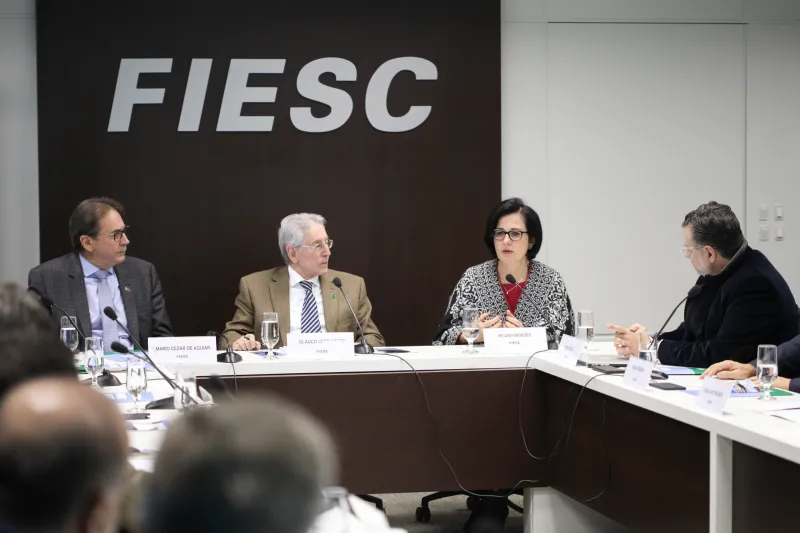 Conselho analisou documento que leva em conta oito fatores estruturantes. Foto: Filipe Scotti