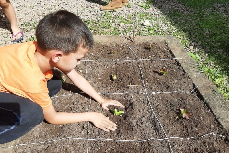 Horta escolar trouxe benefícios para toda a comunidade escolar. Foto: Divulgação/SESI