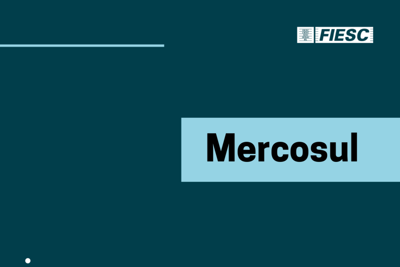 Confira as novidades