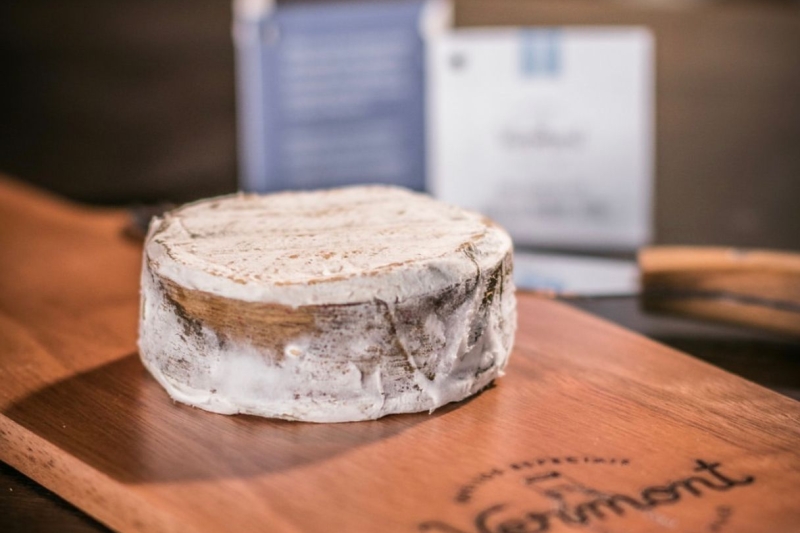 Queijo criado pela Pomerode Alimentos é suave e cremoso, livre de lactose. Foto: Divulgação