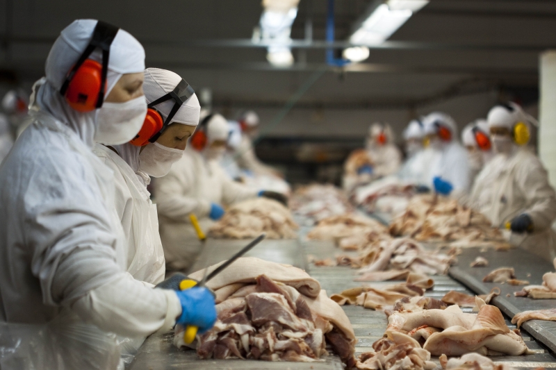 No período houve crescimento nos embarques de carne suína e de frango (Plínio Bordin) 